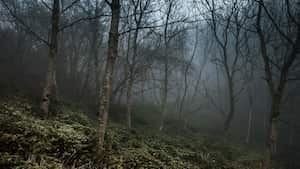 Cuando el joven se arrepintió e intentó ayudar a su hermano ya era demasiado tarde