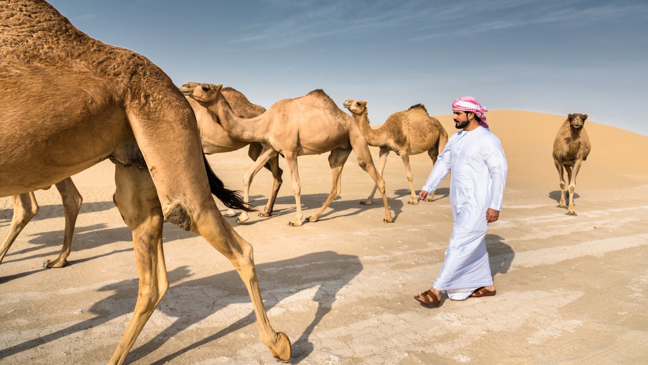 Los planes que no puede dejar de hacer en Qatar
