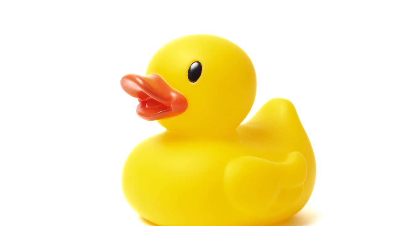 Yellow rubber duck isolated on white background