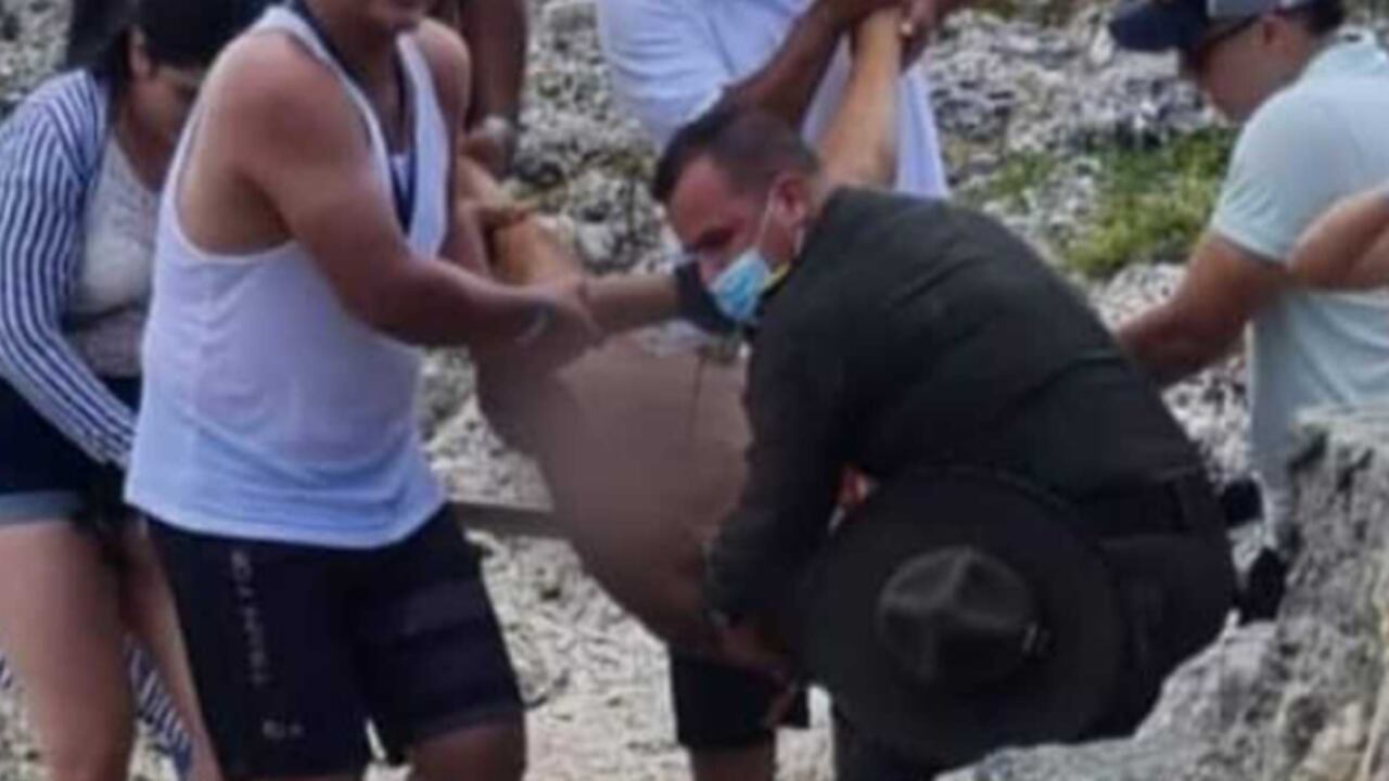 Ataque de tiburón en San Andrés. - Foto: HT24 PERIODISMO