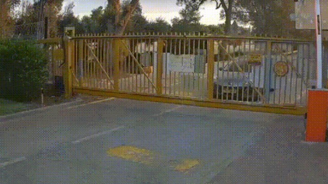 Captura de pantalla del escalofriante video de Hamás masacrando familia