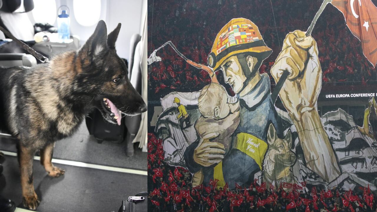 Barra de Turquía hizo homenaje a rescatistas y a valiente perro que murió en la labor