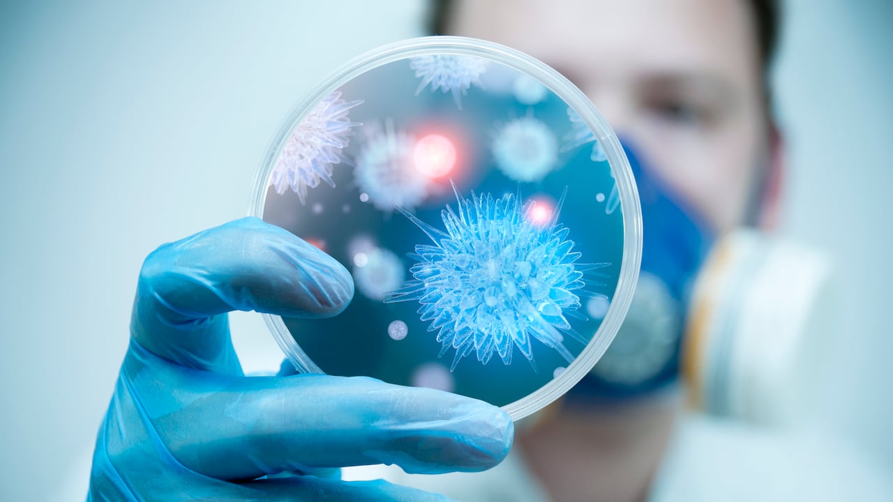 Un científico sostiene una placa con virus y células bacterianas