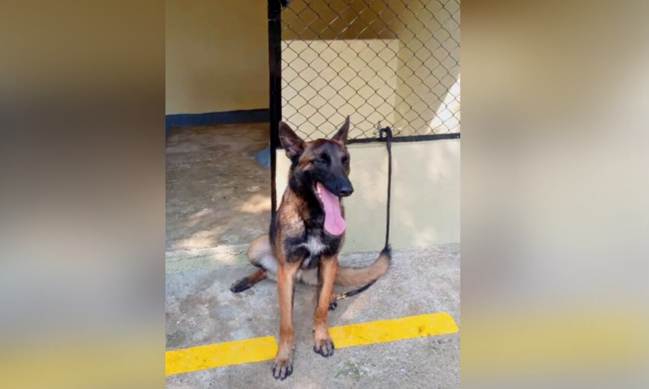 Esta es una de las fotografías de Wilson previo a su envío a la operación Esperanza.