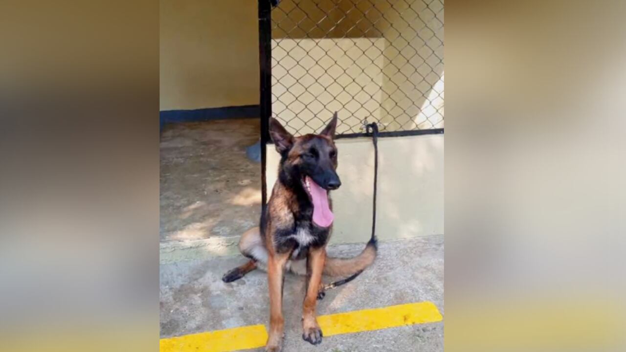 Esta es una de las fotografías de Wilson previo a su envío a la operación Esperanza.
