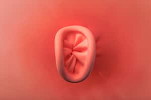 Knotted red balloon close up