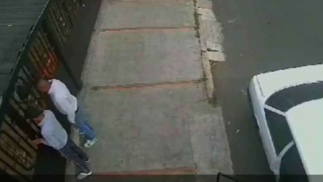 Descarados: a plena luz del día ladrones ingresaron a una casa para secuestrar un marrano