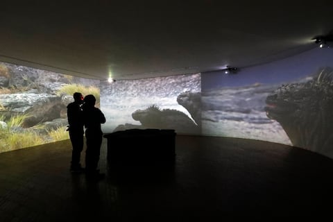 Foto Guillermo Torres Reina / Semana