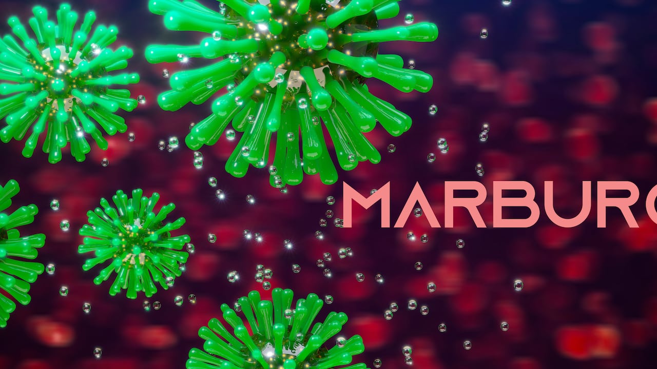 Marburg virus