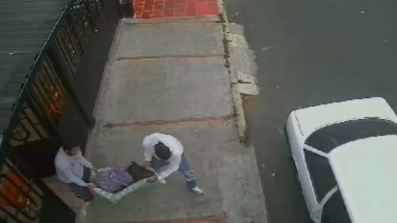 Descarados: a plena luz del día ladrones ingresaron a una casa para secuestrar un marrano