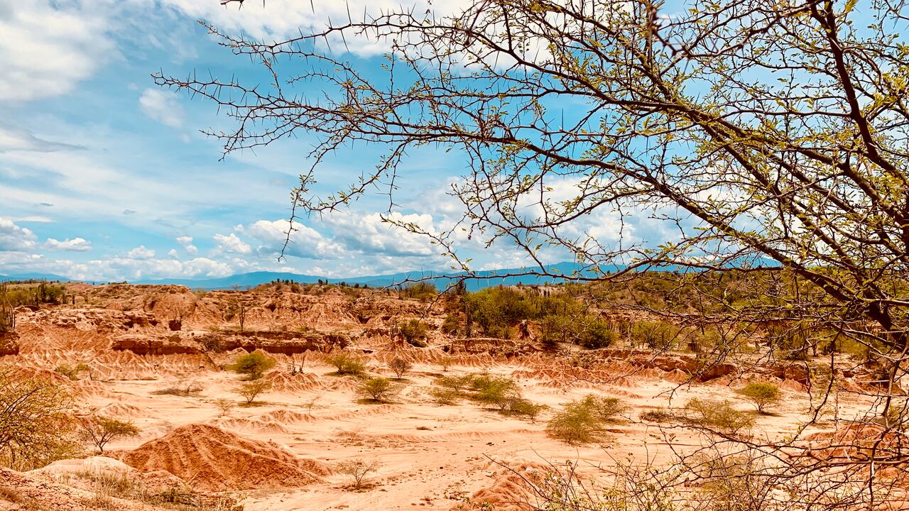 Desierto de la Tatacoa