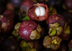 Safari de las frutas en Corabastos