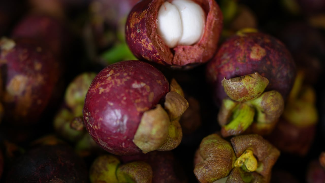 Safari de las frutas en Corabastos