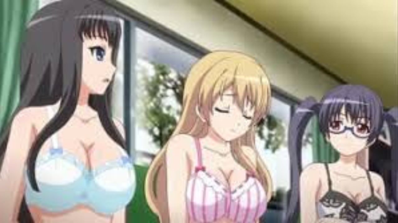 Eroge: videojuegos de pornografía Japonesa
