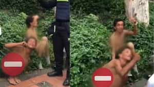 Foto: Video Instagram