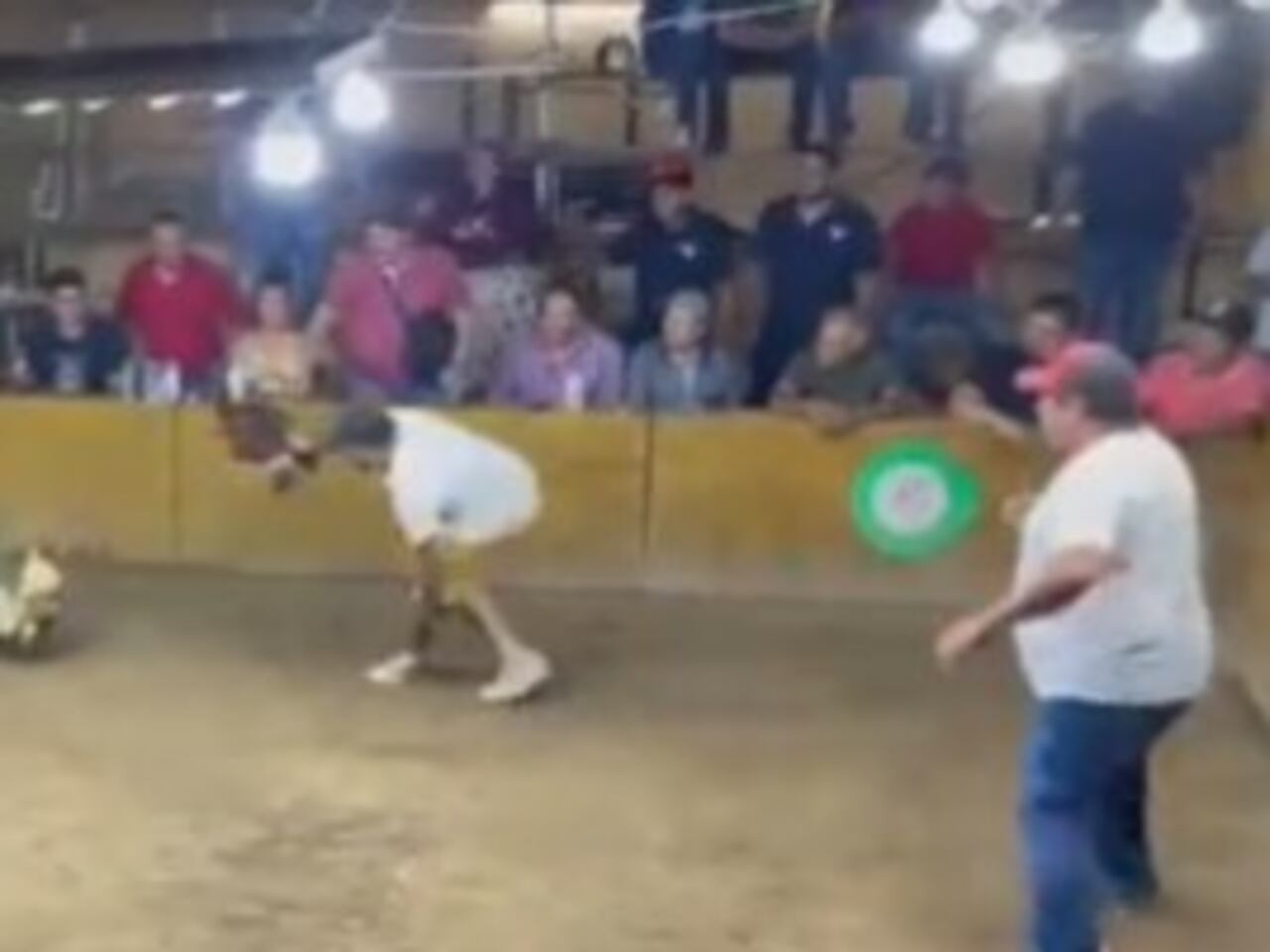 Foto: Video Twitter