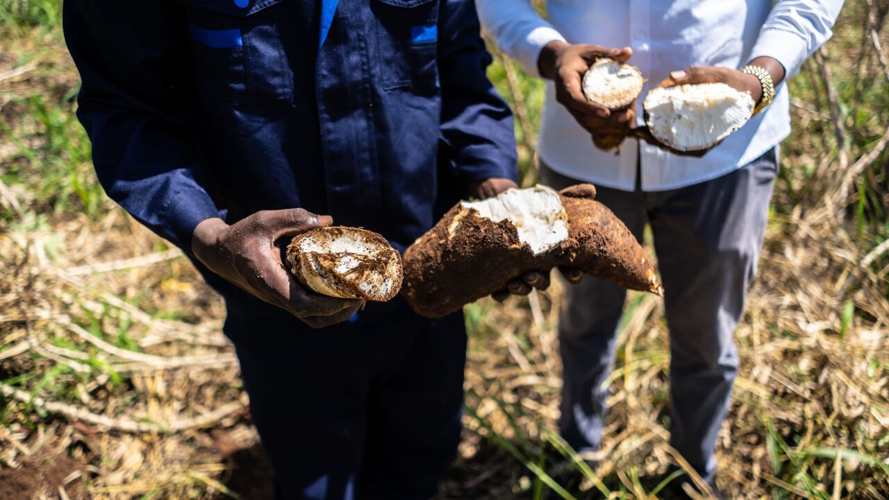 Los productos más peligrosos en la gastronomía que lo podrían matar