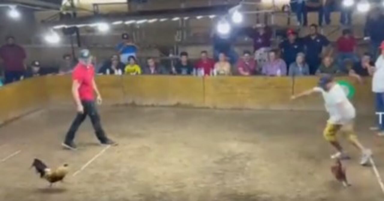 Foto: Video Twitter