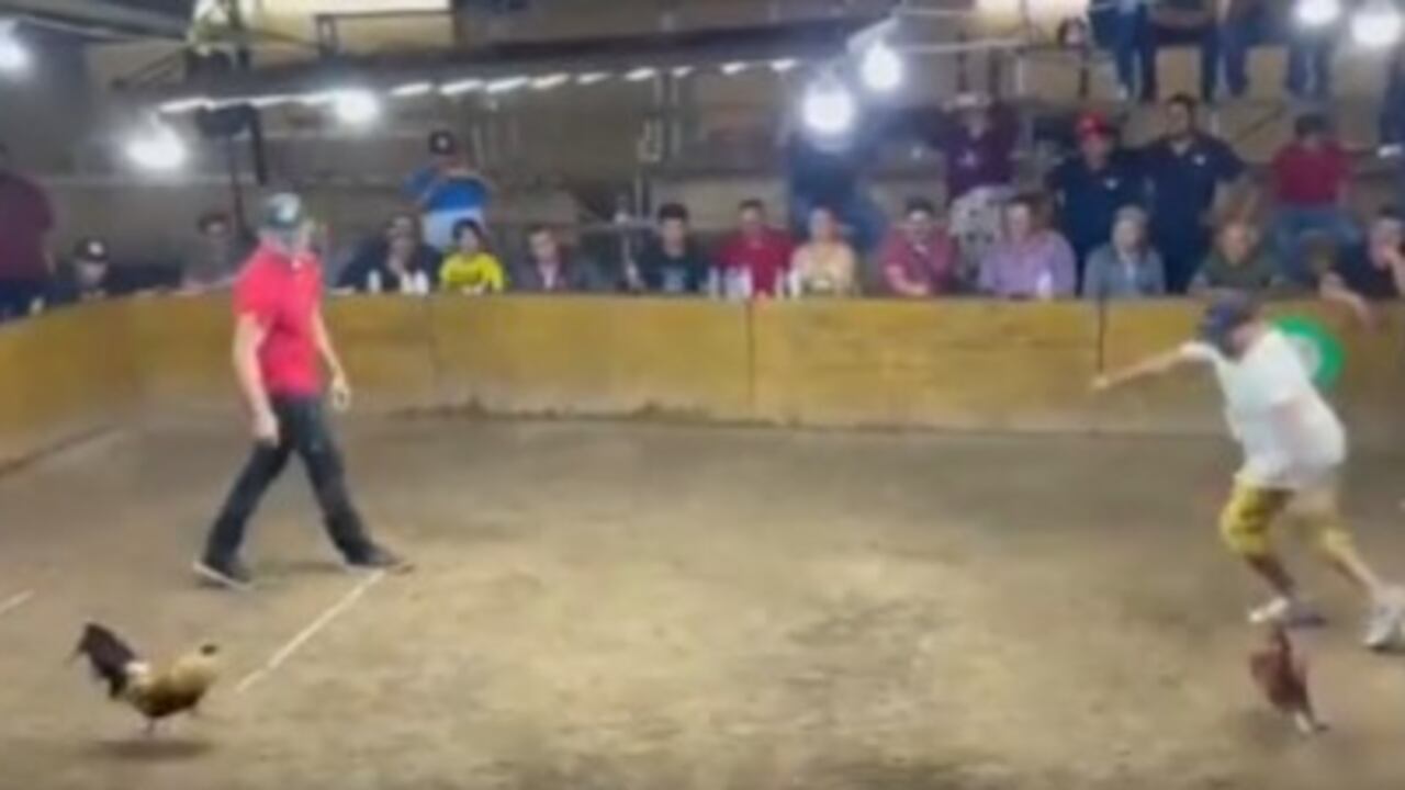 Foto: Video Twitter