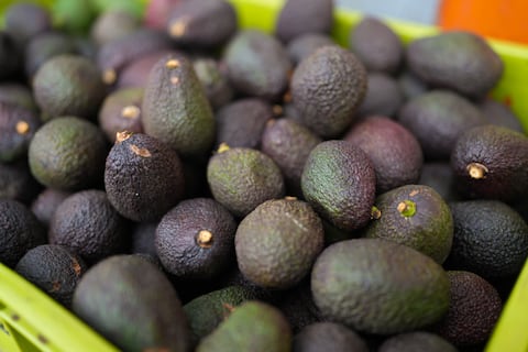 Aguacate Hass