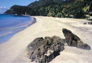 Barú en Cartagena – La zona está rodeada de bahías y lagunas donde puede tomar el sol, pasear en barco e ir a otras islas espléndidas las del Rosario y San Bernardo.
